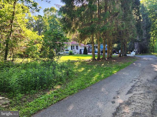 195 Meadow Drive