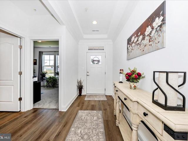 19642 Lavender Lane