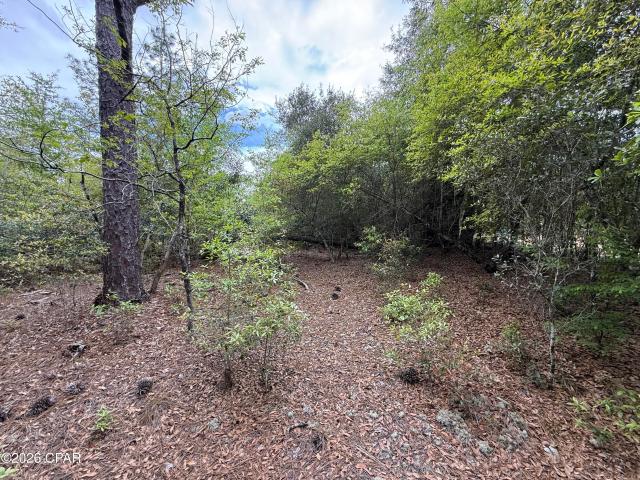 19678 Walsh Rd, Fountain, FL 32438 | MLS #788115