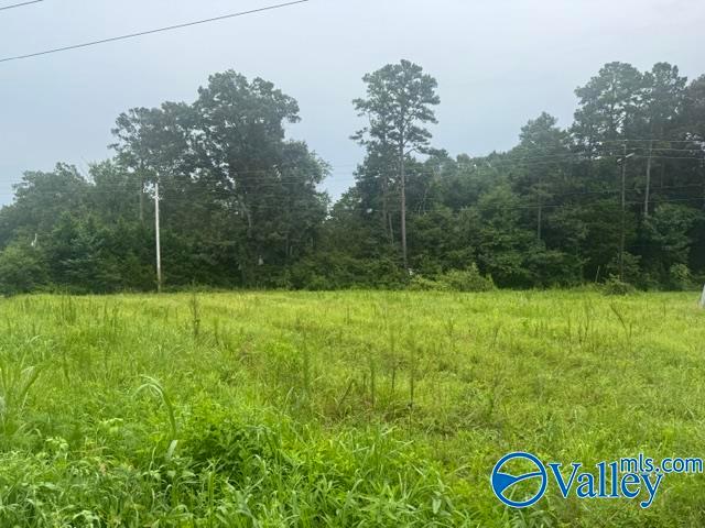 196 County Road 230