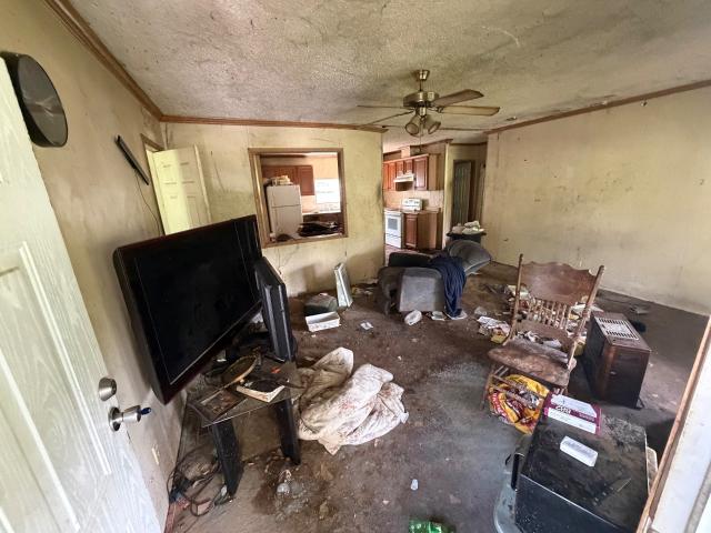 196 County Road 890