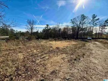196 ARCO DAIRY RD # 0, ALPINE, AL 35014