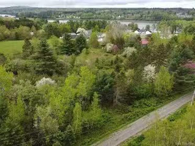 196 Ledge Road, Dufferin, NB, E3L 3P2 vacant land for sale.