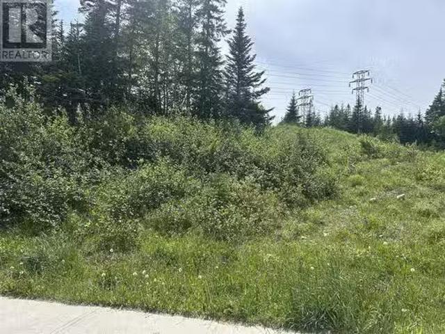 196 Massey Drive, Massey Drive, NL, A2H 7A2 vacant land for.