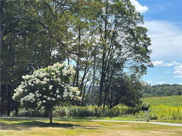 196 Short Crumhorn Road
