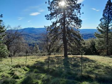 1975 Ridgecrest Way, West Point, CA 95255 | MLS #226017