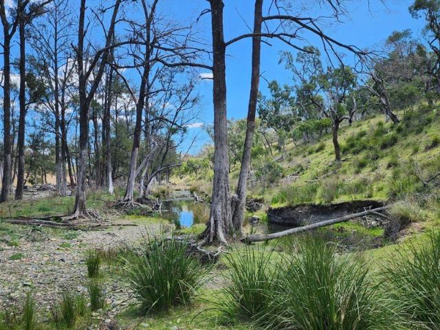 197 ACRES WITH DOUBLE CREEK FRONTAGE