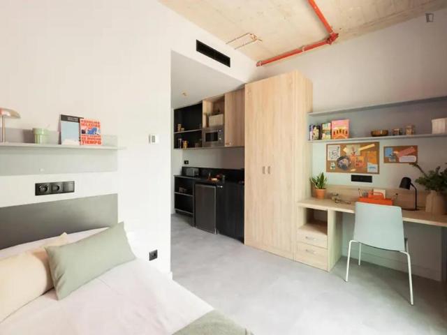 197 Dormitorio Apartamentos Barcelona Barcelona 104721414