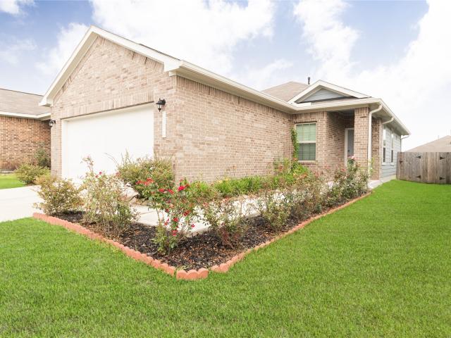 19814 Red Bay Fir Court