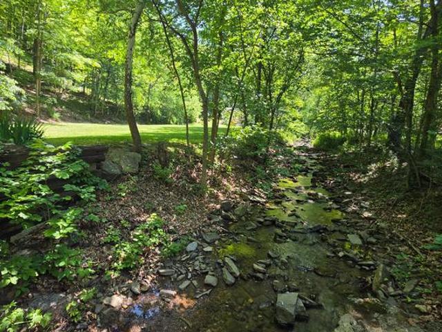 1981 Buffalo Hollow Road