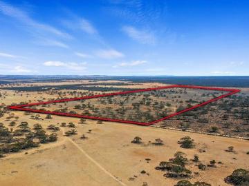 Bower, Goyder, South Australia, South Australia
