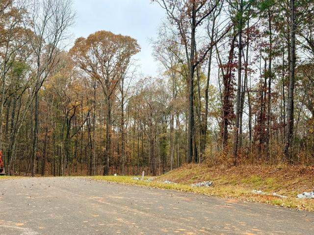 198 Rolling Meadows Way, Waverly Hall, GA 31831 | MLS #224802