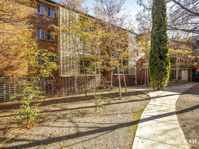 1/99 Canberra Avenue, Griffith, ACT 2603