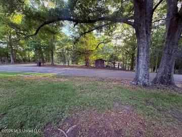 199 Z C Rushing Road