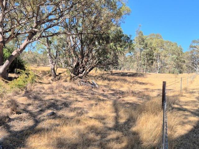 19.2 RECREATIONAL ACRES at REDBANK