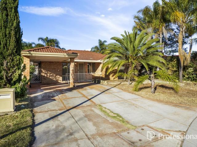 19 Terra CloseBallajura WA 6066, Australia