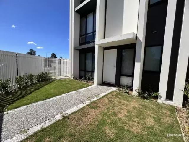19 Annanvale Circuit, Mount Annan House for rent Listed by Li.