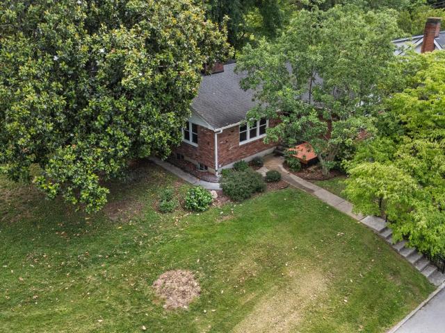 19 Ashmore Drive