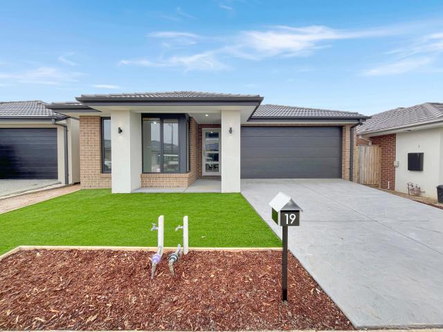 19 Deloraine Street