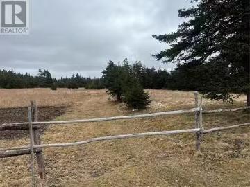 19 Dobbin'S Road, Bell Island, NL, A0A 4H0 vacant land for s.