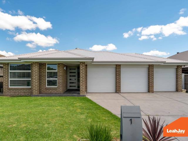 19 dragonfly drive, chisholm nsw 2322