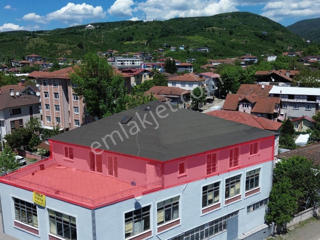 19 Şekergayrimenkul 5+1 15 Kişilik Müstakil Eşyalı Daire