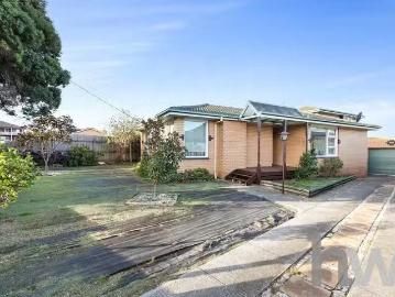 19 Glyn Street, Belmont, VIC 3216