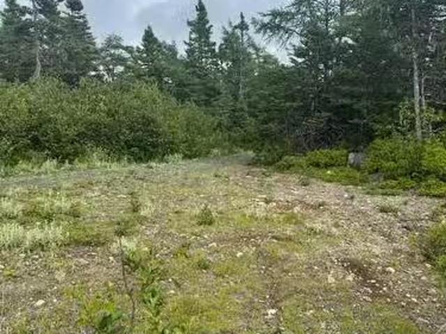 19 Island Pond Road, Spread Eagle, NL, A0B 2W0 vacant land f.