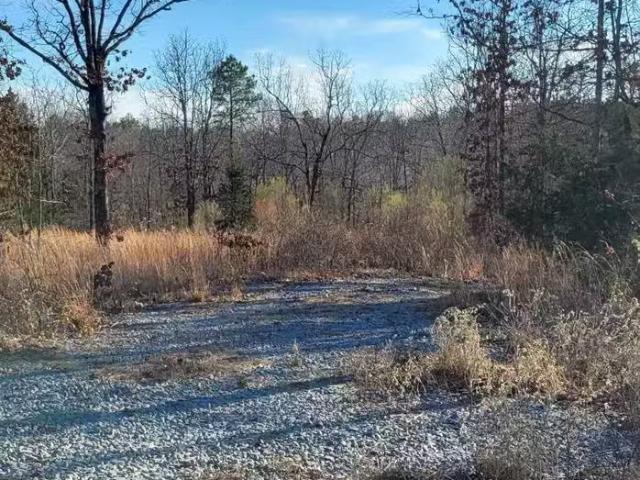19 MANNA LN, CONWAY, AR 72032