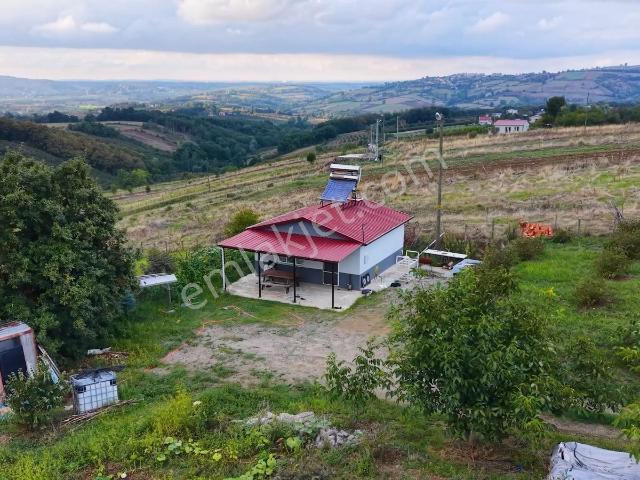 19 Mayıs Çepinlerde Satılık Bağ Evi Ve Hisse