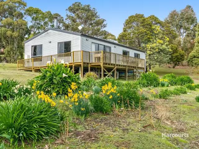 19 Mountain Place, MOLESWORTH, TAS 7140 House for Rent