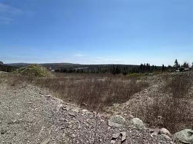 19 Simon Place, Spaniards Bay, NL, A0A 3X0 vacant land for s.
