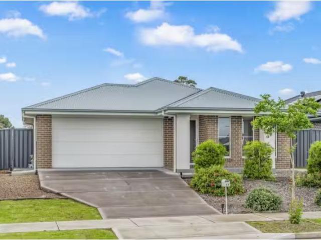 19 Springfield Drive, Lochinvar House for rent Listed by Kevi.