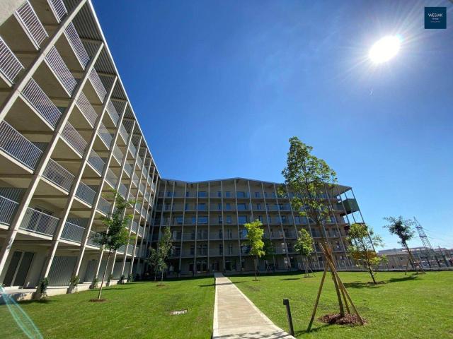 1. MONAT MIETZINSFREI Lichtdurchflutetes Wohnen: 2 Zimmer Wohnung mit Großem Balkon für Lebensqualität im Freien Top 136