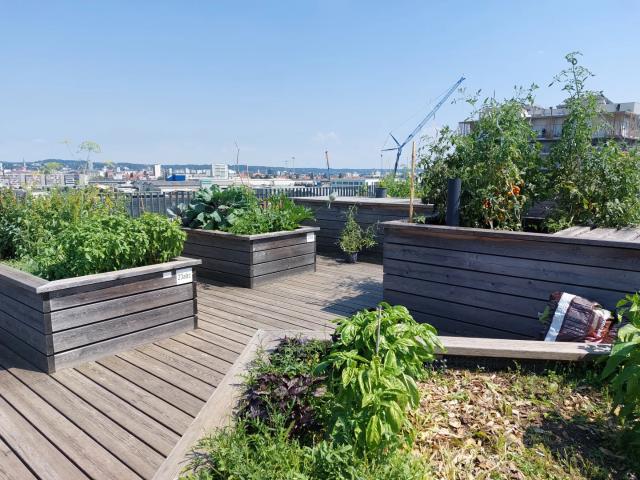 1. MONAT MIETFREI: SCHÖNE 2 ZIMMERWOHNUNG MIT TOP AUSSTATTUNG+ BALKON + TG