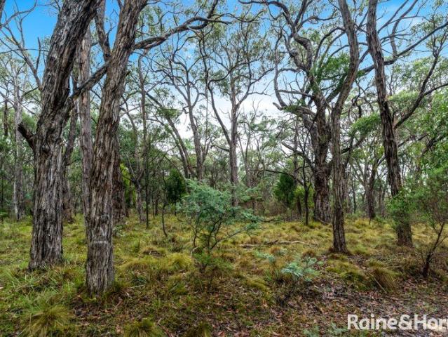 1 Acre Approx. Bushland Sanctuary
