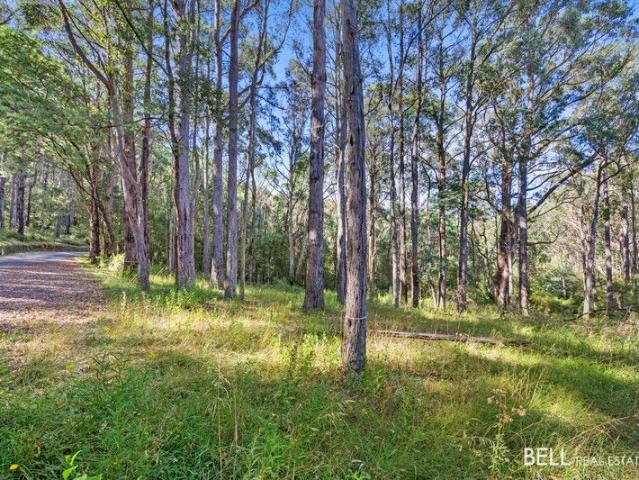 1 Acre Approx. Vacant Land