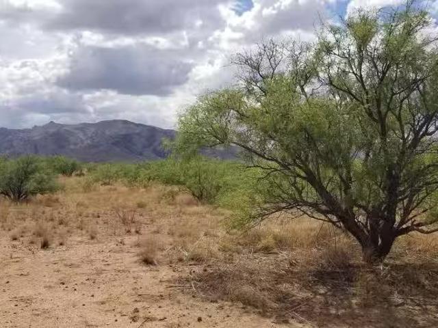 1 Acre Birch Rd #3, Cochise, AZ 85606 MLS 22513993