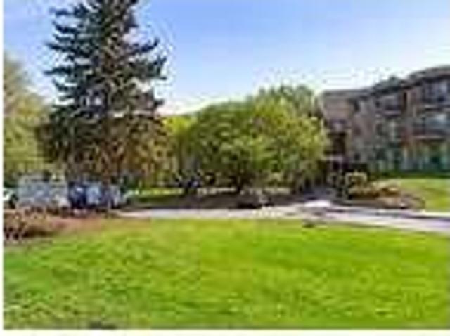 1 Bd 1 Ba For Rent $1200/mo