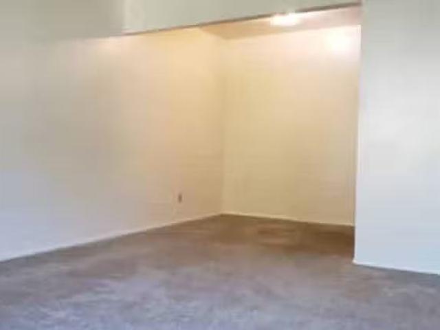 1 Bed 1 Bath