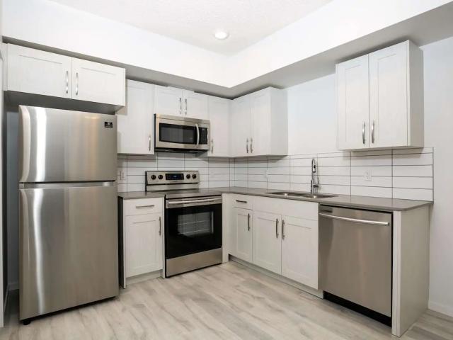 1 Bed 1 Bath Chappelle SW Edmonton Suite For Rent
