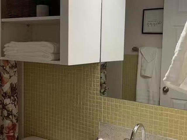 1 Bed 1 Bath Apartment in Moscow, Moscow 1 Bedroom 1 Bath