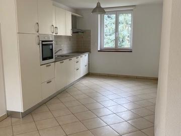 1 bed apartment Cadro renovated