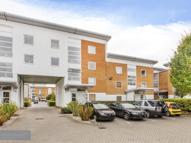 1 bed Apartment For rent