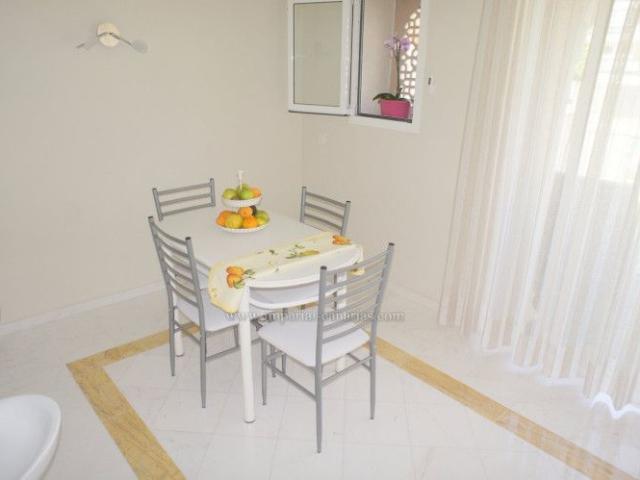 1 Bed Flat / Apartment to Rent
