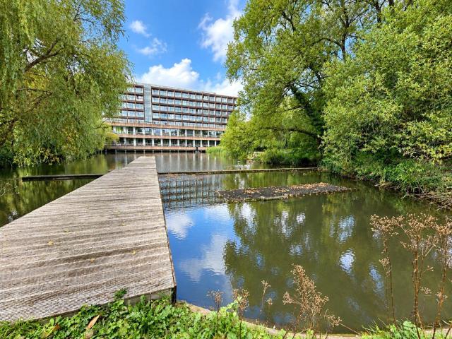 1 Bed flat Apartment to rent