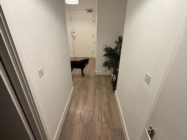 ✨1 Bed Flat for Rent ✨