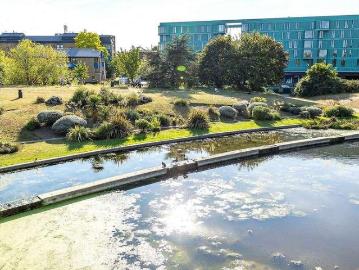 1 bed flat for sale