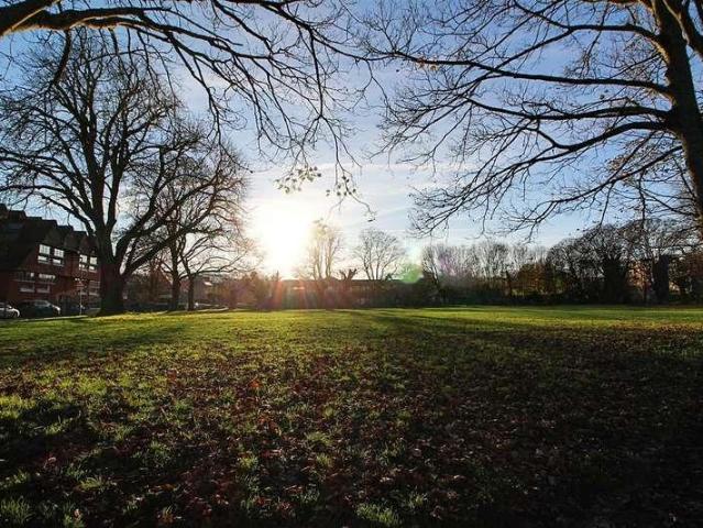 1 bed flat for sale