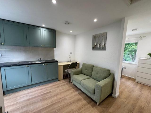 1 Bed flat/ Harborne/ near QE/UoB/ bills included